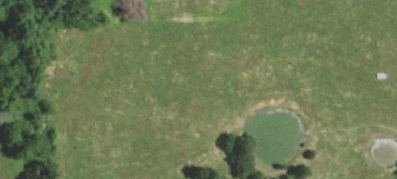 Mansfield, MO 65704