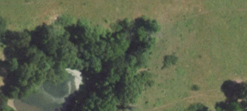 Mansfield, MO 65704