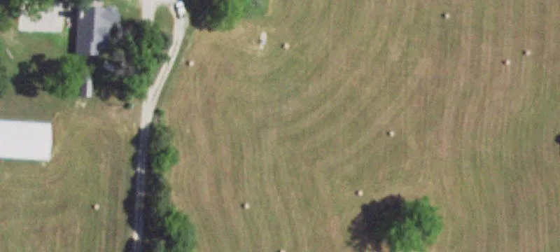 Norwood, MO 65717