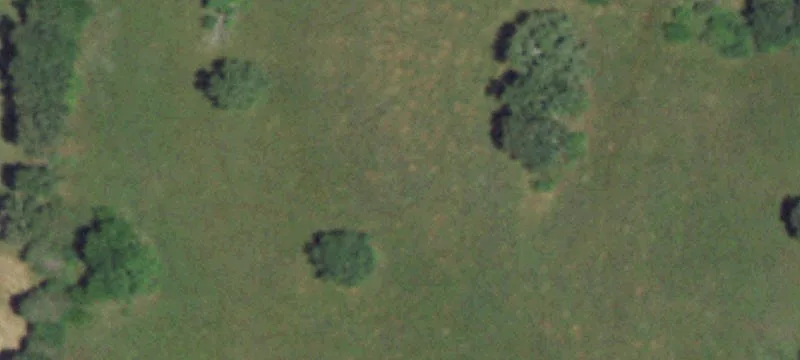 Mansfield, MO 65704