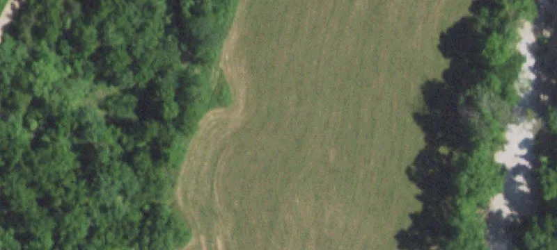 Mansfield, MO 65704