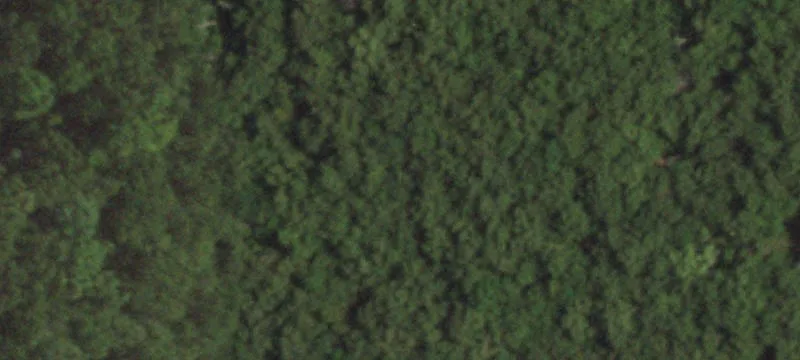 13998 State Rd T T