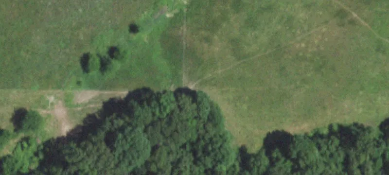 Mansfield, MO 65704