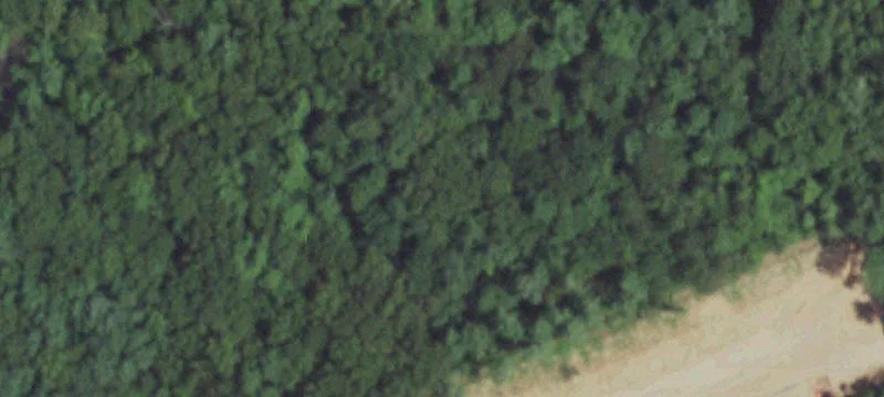 2778 Hwy 100
