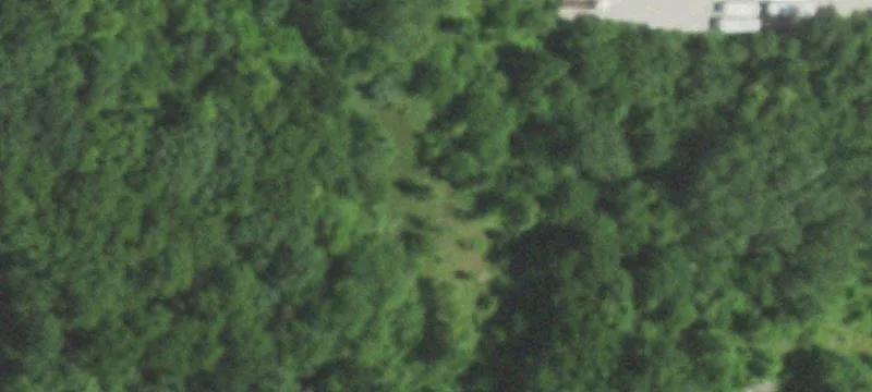 16809 Us Hwy 40