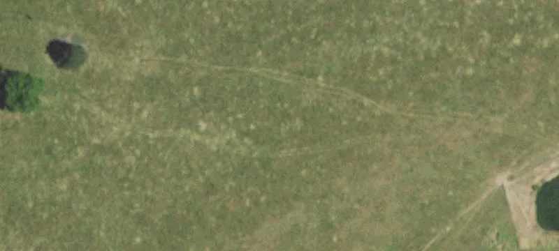 Mansfield, MO 65704