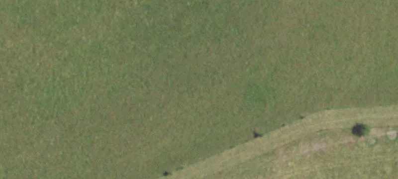 Norwood, MO 65717