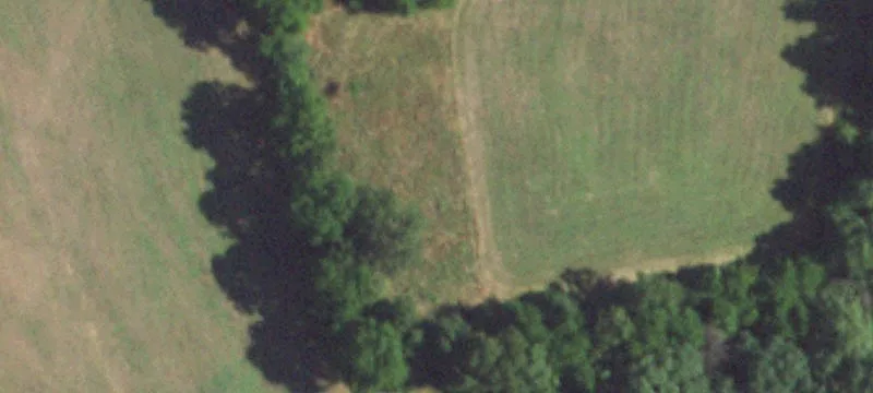 Norwood, MO 65717