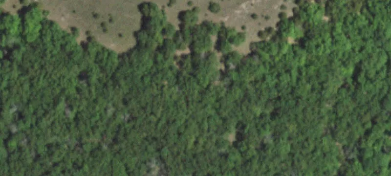 Mansfield, MO 65704