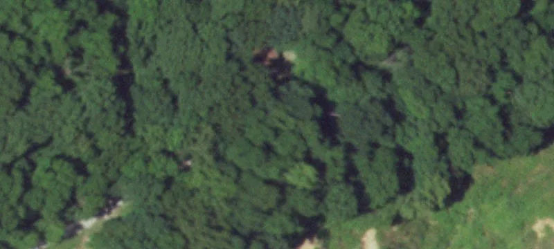 1190 Roby Farm Rd