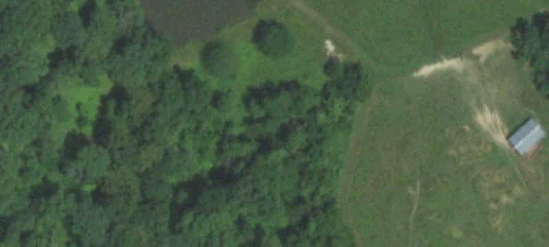 3166 Hwy B B