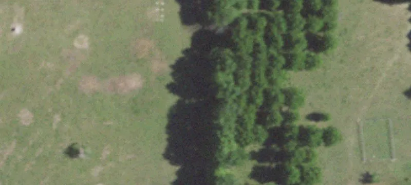 4903 Farm Rd 243