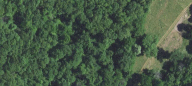 Macomb, MO 65702