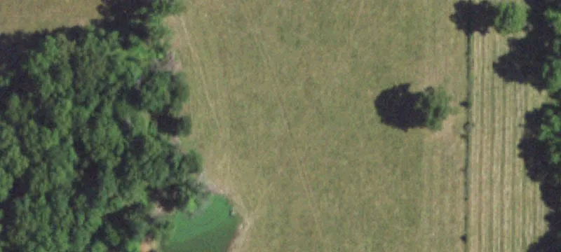Norwood, MO 65717