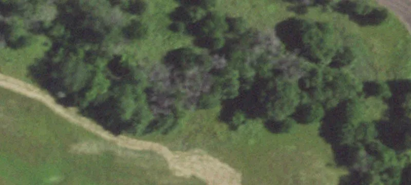 Kidder, MO 64649