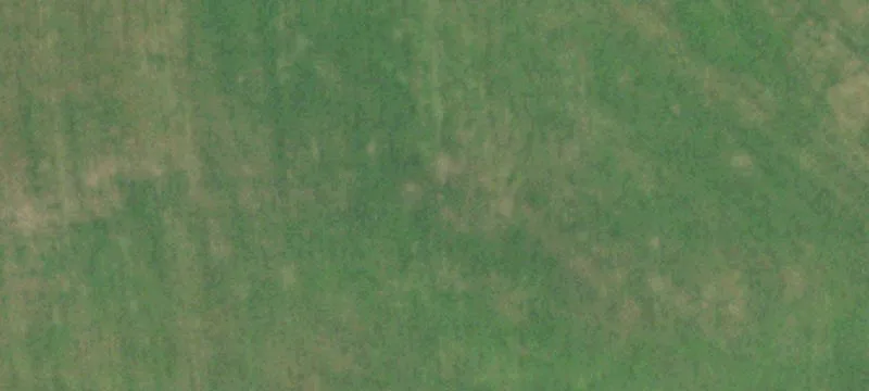Mansfield, MO 65704
