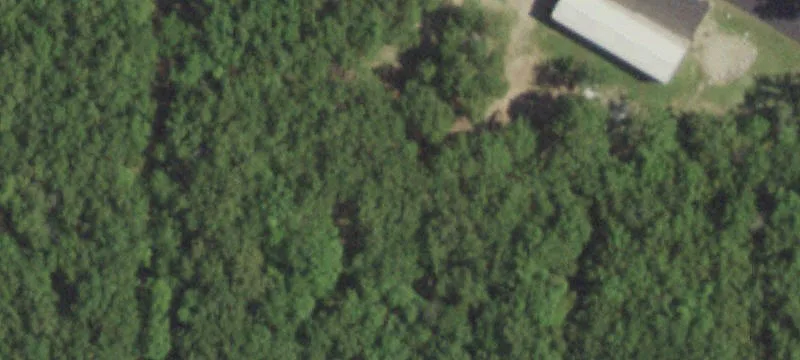1595 State Hwy 47