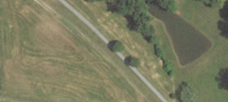 3364 Percy Dr