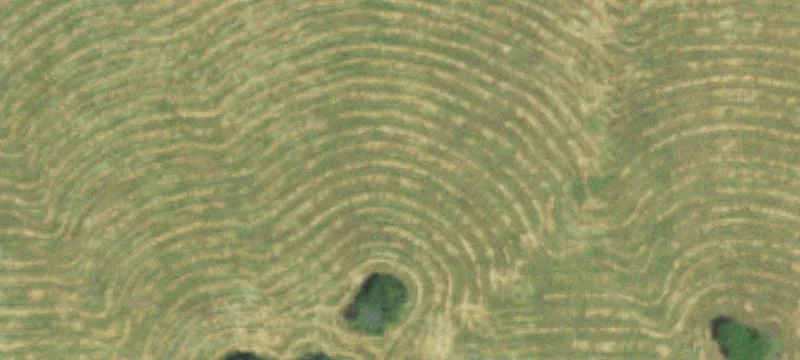 Dadeville, MO 65635