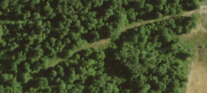 Maple Hls Dr