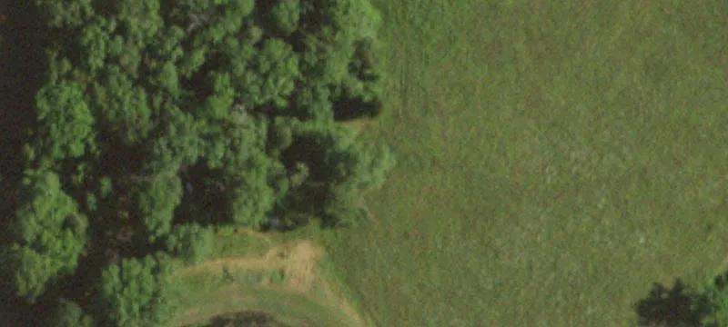 3907 Cedar Run Rd