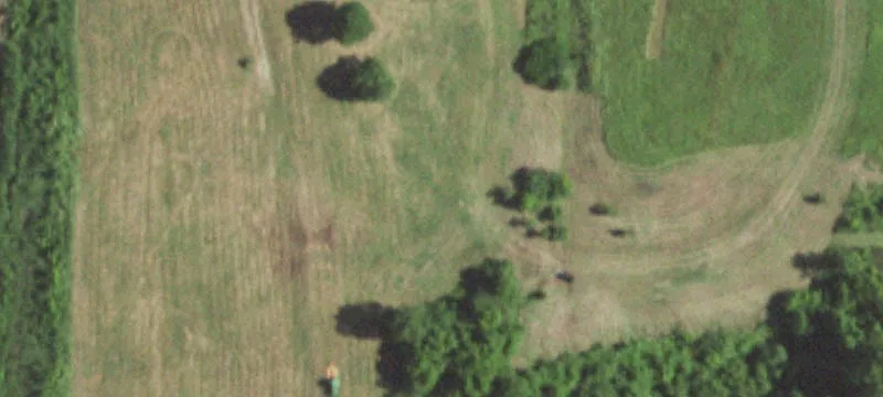 Festus, MO 63028