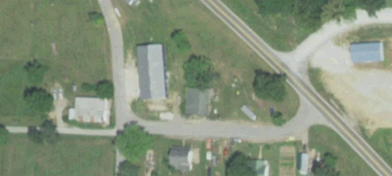 146 Main Daisy St