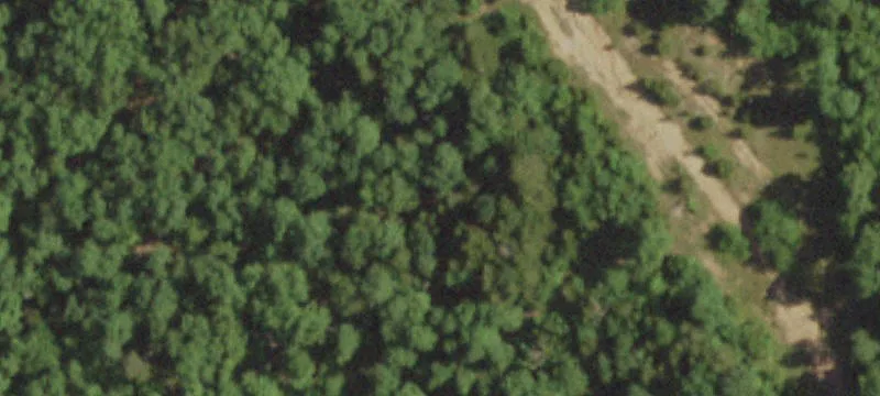431 Thomas Rd