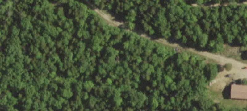 3591 Cedar Run Rd