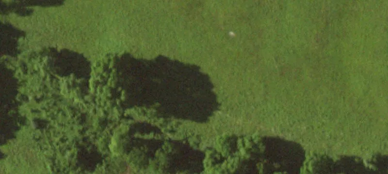 3381 Hwy Oo