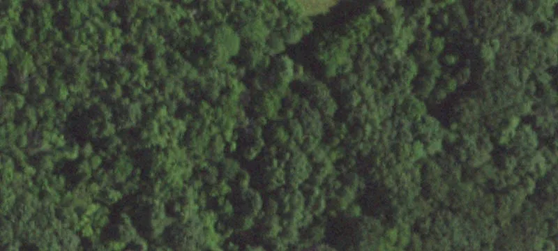 2558 Frederitzi Ln