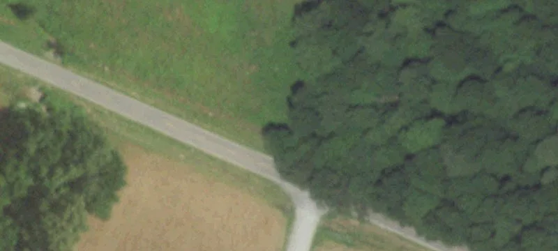 3390 State Hwy K K