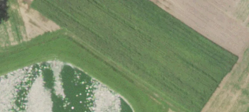 Dearborn, MO 64439