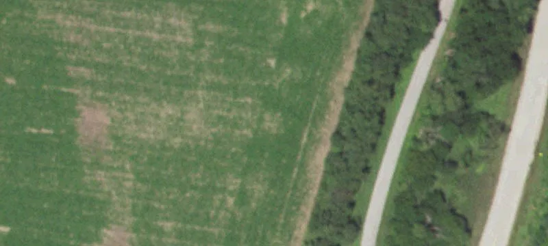 Dearborn, MO 64439