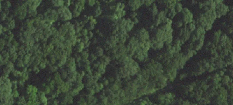 Festus, MO 63028