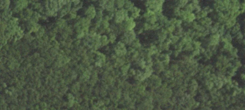 Festus, MO 63028