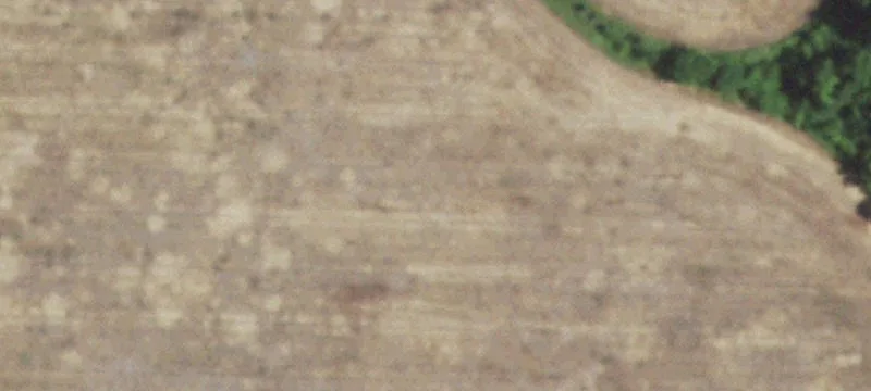 Butler, MO 64730