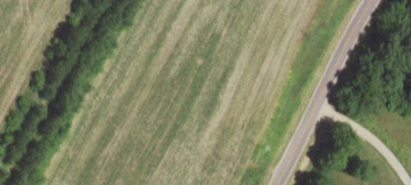 Silex, MO 63377