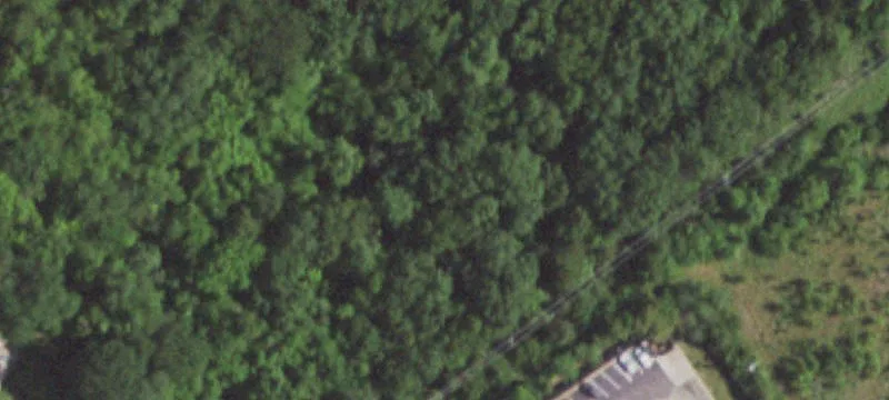 2009 Richardson Rd