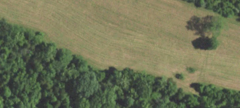3351 John Swaller Rd