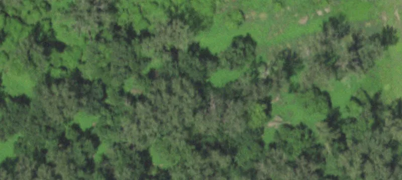 Riverside, MO 64150