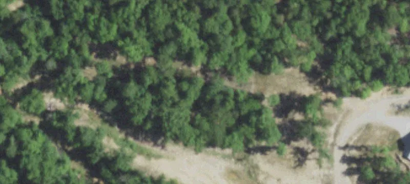 Walnut Shade, MO 65771