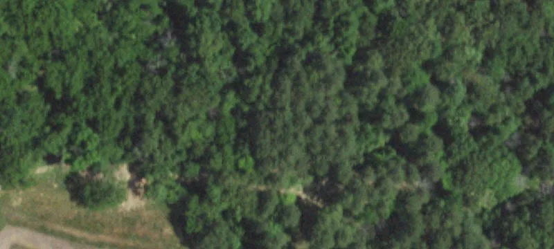 Grovespring, MO 65662