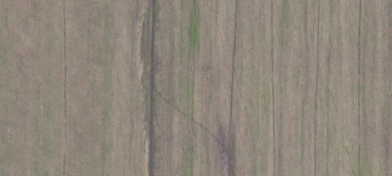 Rees Rd