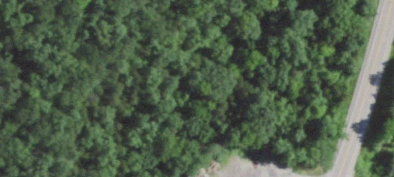 13239 State Rte 21