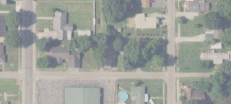 Elm