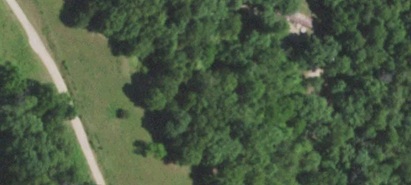 Grovespring, MO 65662
