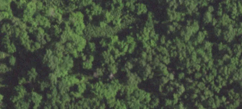 Festus, MO 63028