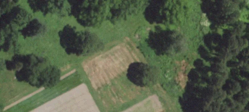 2803 Hwy 79