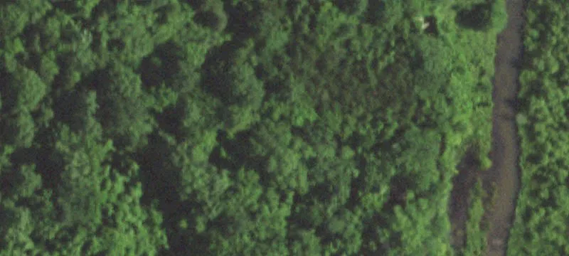 Festus, MO 63028